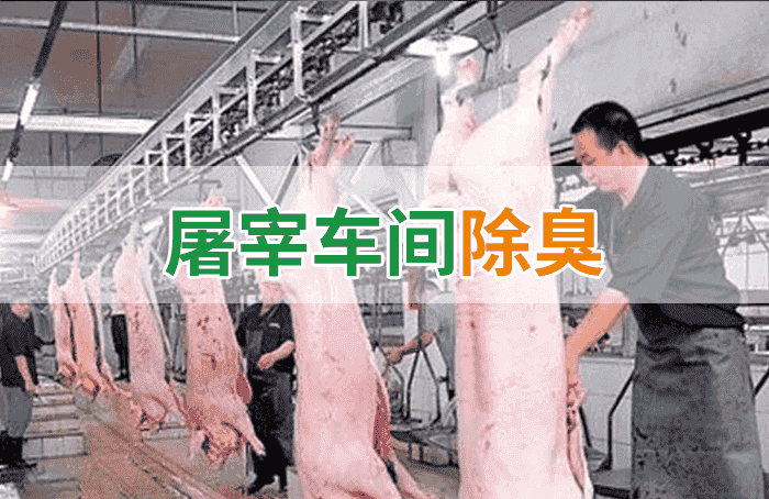 潔匠凈化·的凈工業(yè)除臭劑_屠宰場(chǎng)臭氣影響周邊環(huán)境？解決辦法在這里-1