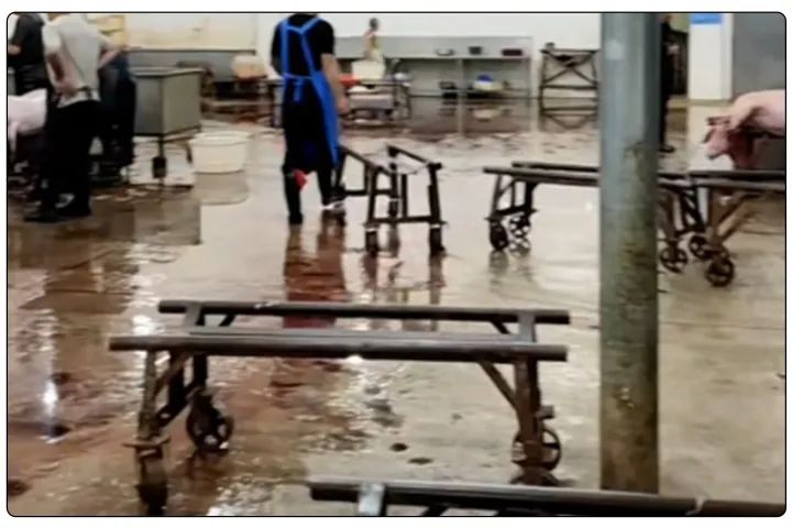 屠宰工廠惡臭影響周邊，使用除臭劑有什么注意要點？.jpg