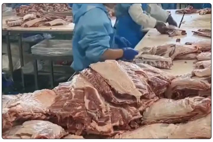 屠宰工廠惡臭影響周邊，使用除臭劑有什么注意要點？.jpg