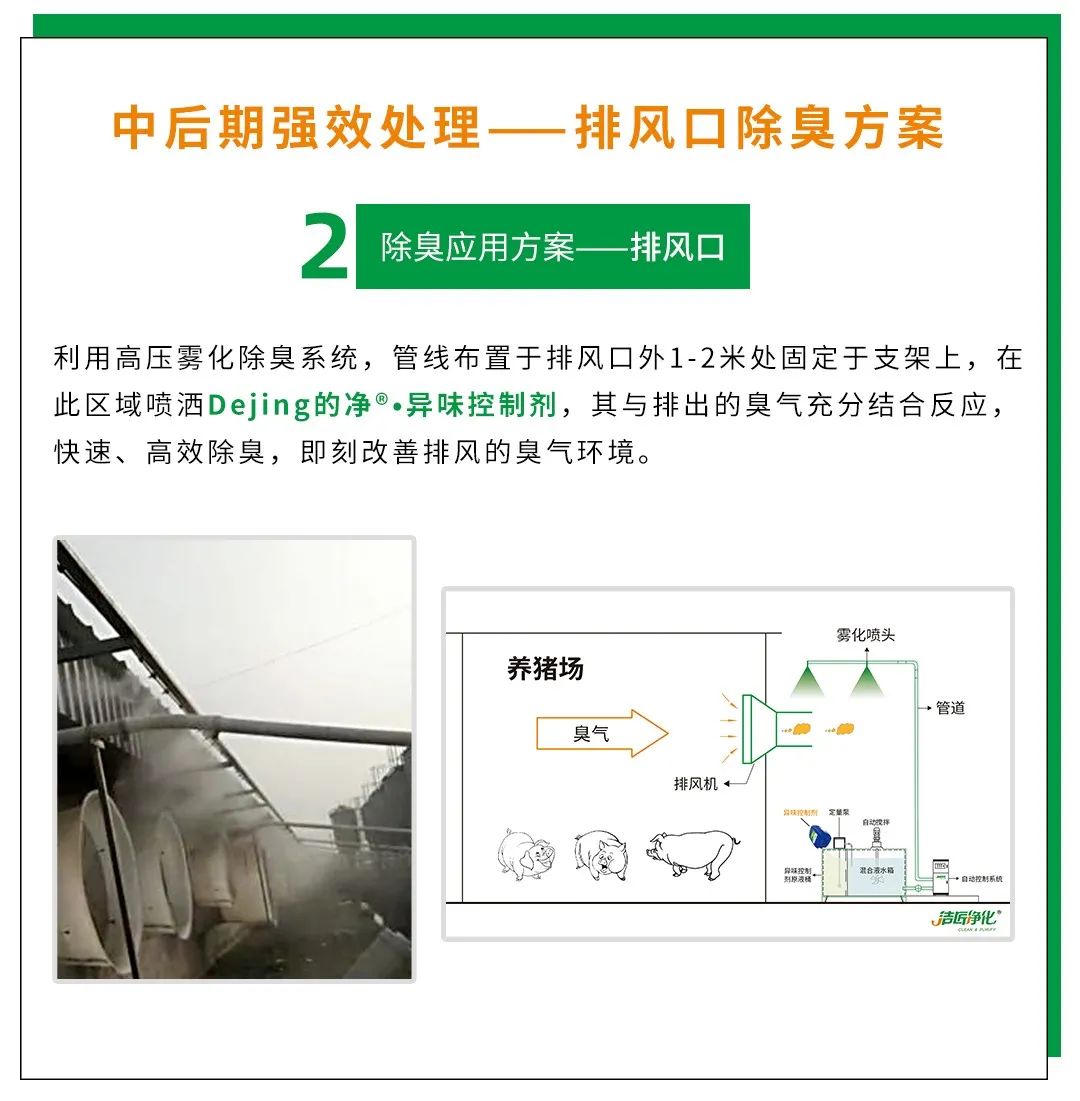 Dejing的凈養(yǎng)殖場除臭劑如何迅速清理養(yǎng)殖場臭味？.jpg